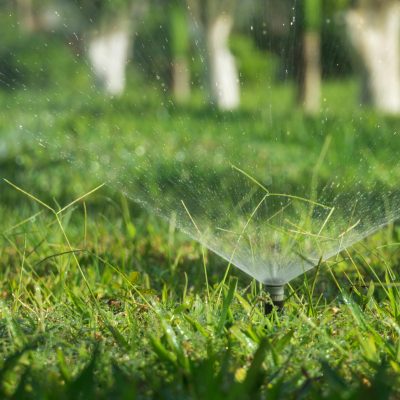 pexels photo 3351909 3351909 A sprinkler system watering a lush green grass field outdoors during daytime.